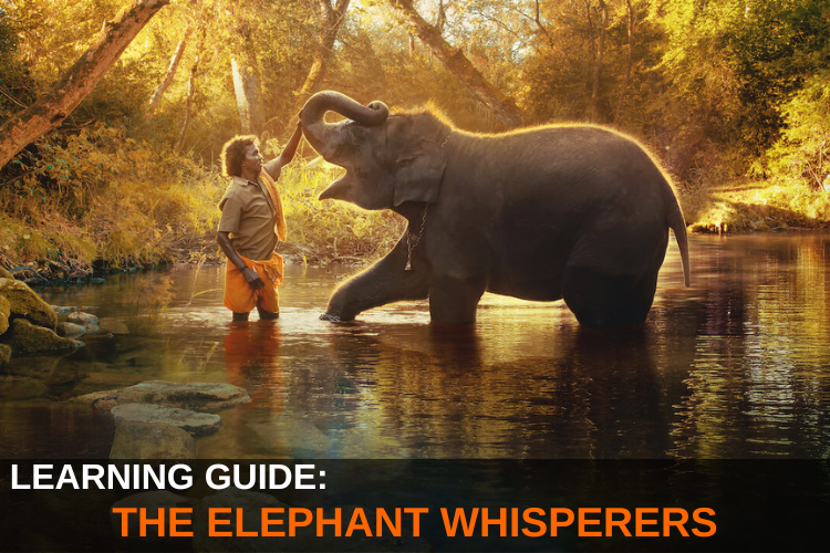THE ELEPHANT WHISPERERS (1)