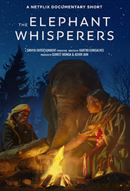 movie review of elephant whisperers